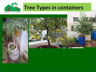 Tree Types in containers
 