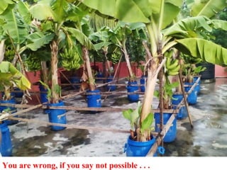 You are wrong, if you say not possible . . .
 