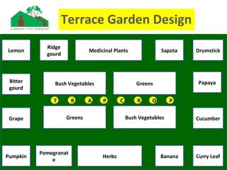 Terrace Garden Design
Lemon
Ridge
gourd
Medicinal Plants Sapota Drumstick
Pumpkin
Pomegranat
e
Banana Curry Leaf
Bitter
gourd
Grape Cucumber
PapayaBush Vegetables
Greens
Greens
Bush Vegetables
Herbs
T R A P C R O P
 