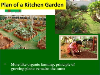 Plan of a Kitchen Garden
• More like organic farming, principle of
growing plants remains the same
 