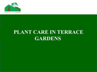 PLANT CARE IN TERRACE
GARDENS
 