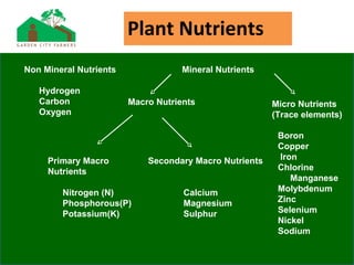 Plant Nutrients
Non Mineral Nutrients
Hydrogen
Carbon
Oxygen
Mineral Nutrients
Macro Nutrients Micro Nutrients
(Trace elements)
Primary Macro
Nutrients
Nitrogen (N)
Phosphorous(P)
Potassium(K)
Secondary Macro Nutrients
Calcium
Magnesium
Sulphur
Boron
Copper
Iron
Chlorine
Manganese
Molybdenum
Zinc
Selenium
Nickel
Sodium
 
