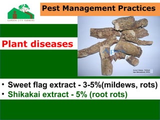 • Sweet flag extract - 3-5%(mildews, rots)
• Shikakai extract - 5% (root rots)
Plant diseases
Pest Management Practices
 