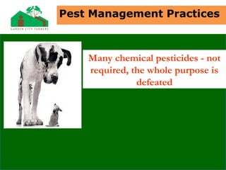 Many chemical pesticides - not
required, the whole purpose is
defeated
Pest Management Practices
 