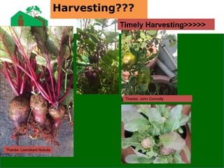 Thanks: Laxmikant Nukula
Thanks: John Connolly
Timely Harvesting>>>>>
Harvesting???
 