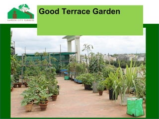 Good Terrace Garden
 