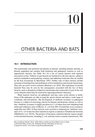 239
10
Bats and Human Health: Ebola, SARS, Rabies and Beyond, First Edition. Lisa A. Beltz.
© 2018 John Wiley & Sons, Inc. Published 2018 by John Wiley & Sons, Inc.
Companion website: www.wiley.com/go/batsandhumanhealth
10
OTHER BACTERIA AND BATS
10.1 INTRODUCTION
The nutritionally rich intestinal microbiome of animals, including humans and bats, is
densely populated and contains both beneficial and pathogenic bacteria as well as
opportunistic bacteria. See Table  10.1 for a list of various bacteria with reported
association to bats. Trillions of gut bacteria are beneficial to the host species, aiding in
nutrient metabolism and producing vitamins and additional molecules that are needed
by the host (Cummings & Macfarlane 1997). Further roles of these bacteria include
assisting in food digestion and modulation of host metabolism and immune functioning.
They also are active in host evolution (Banskar et al. 2016). The importance of normal
bacterial flora may be seen by the consequences associated with the loss of these
bacteria, such as disruption of digestive functioning and overgrowth of yeast in the oral
cavity (thrush) which may be resolved by ingesting probiotics (bacteria).
Many bacteria, however, are pathogenic and may cause severe disease or death.
Some of the pathogens are able to jump the species barrier and infect a wide range of
vertebrates and invertebrates. The development of antibiotic resistance to pathogenic
bacteria is a subject of increasing concern for humans and domestic animals as well as
bats. Antibiotic resistance is highly prevalent in E. coli taken from bats inhabiting both
urban and wilderness areas of Mexico. E. coli from 46% of tested bats were resistant to
ampicillin and 100% of these bacteria were resistant to streptomycin. Antibiotic resis­
tance of E. coli in bats has been reported in regions as distant as Trinidad and Australia
(Mühldorfer et al. 2011b). The practice of bat guano collection directly exposes people
to bat intestinal bacteria, including E. coli, and may lead to zoonotic transmission. This
 
