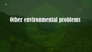 Other environmental problems
 