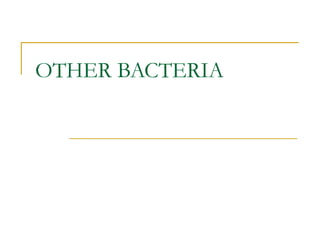 OTHER BACTERIA 