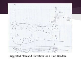Suggested Plan and Elevation for a Rain Garden
 