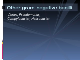 [object Object],Other gram-negative bacilli 