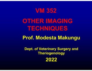 VM 352
Prof. Modesta Makungu
Dept. of Veterinary Surgery and
Theriogenology
2022
OTHER IMAGING
TECHNIQUES
 