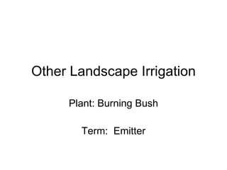 Other Landscape Irrigation Plant: Burning Bush Term:  Emitter 