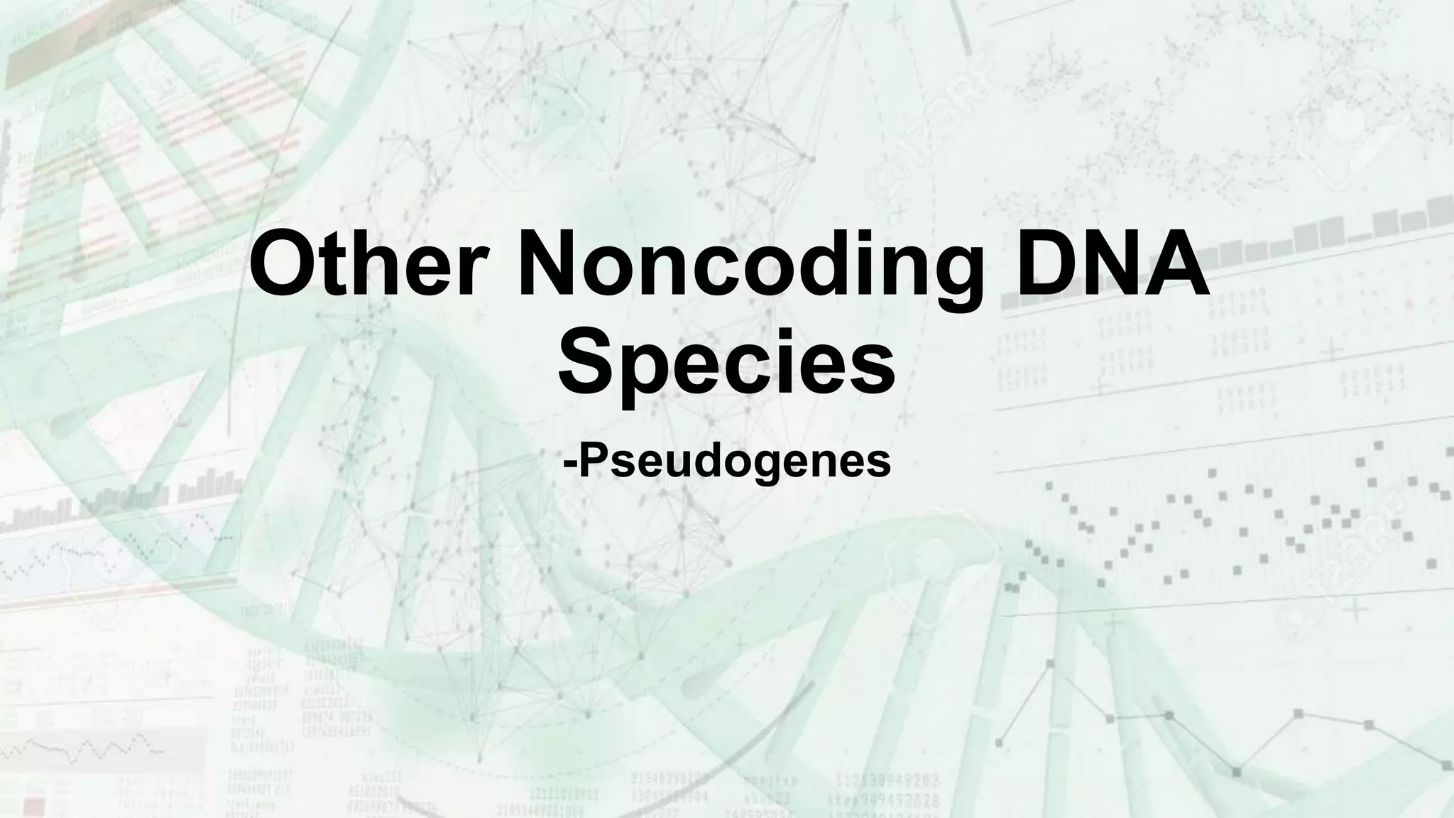 Other Noncoding DNA Species-Pseudogenes.pptx
