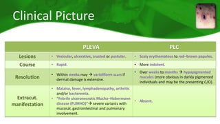 Clinical Picture 
PLEVA PLC 
Lesions • Vesicular, ulcerative, crusted or pustular. • Scaly erythematous to red–brown papules. 
Course • Rapid. • More indolent. 
Resolution • Within weeks may  varioliform scars if 
dermal damage is extensive. 
• Over weeks to months  hypopigmented 
macules (more obvious in darkly pigmented 
individuals and may be the presenting C/O). 
Extracut. 
manifestation 
• Malaise, fever, lymphadenopathy, arthritis 
and/or bacteremia. 
• “Febrile ulceronecrotic Mucha–Habermann 
disease (FUMHD)” severe variants with 
mucosal, gastrointestinal and pulmonary 
involvement. 
• Absent. 
 