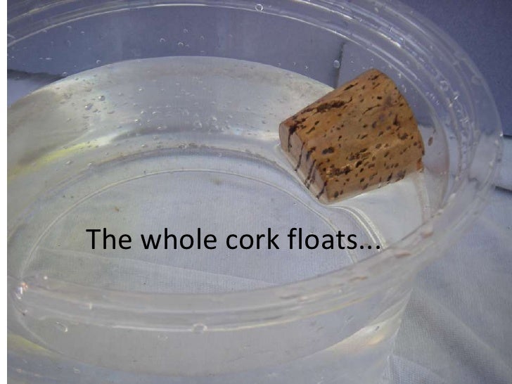 OTHER PHYSICAL PROPERTIES (Teach)