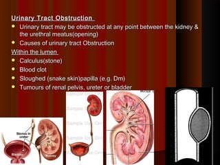 Urinary Tract ObstructionUrinary Tract Obstruction
 Urinary tract may be obstructed at any point between the kidney &Urinary tract may be obstructed at any point between the kidney &
the urethral meatus(opening)the urethral meatus(opening)
 Causes of urinary tract ObstructionCauses of urinary tract Obstruction
Within the lumenWithin the lumen
 Calculus(stone)Calculus(stone)
 Blood clotBlood clot
 Sloughed (snake skin)papilla (e.g. Dm)Sloughed (snake skin)papilla (e.g. Dm)
 Tumours of renal pelvis, ureter or bladderTumours of renal pelvis, ureter or bladder
1111
 
