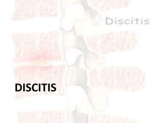 DISCITIS
 