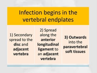 Infection begins in the
vertebral endplates
1) Secondary
spread to the
disc and
adjacent
vertebra
2) Spread
along the
anterior
longitudinal
ligament to
an adjacent
vertebra
3) Outwards
into the
paravertebral
soft tissues
 