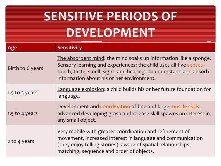 how information a to sponge like absorb development theories of Other how information a to sponge like absorb development theories of Other