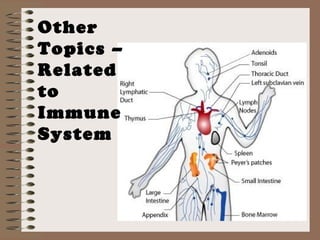 Other
Topics –
Related
to
Immune
System
 