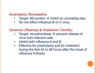 Mutation of the HA and NA genes