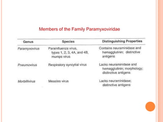 How is the virus transmitted?
