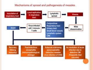 Diseases Associated with Influenza Virus Infections