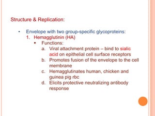 Enveloped virion; inactivated by detergents