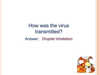 Detergent-treated virion preparations and HA- and NA-containing detergent extracts of virus
