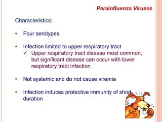 Vaccination routinely recommended for the elderly and people with chronic pulmonary or heart disease.PARAMYXOVIRUSES