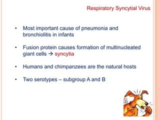 Members of the Family Paramyxoviridae