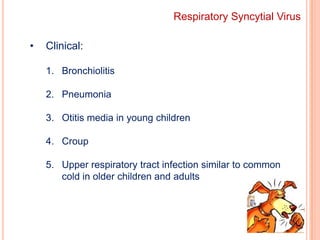 Envelope containing viral attachment protein (HN, paramyxovirus and mumps virus; H, measles virus, and G, RSV) and a fusion protein (F)