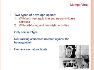 G without hemagglutinin or neuraminidase acvitity