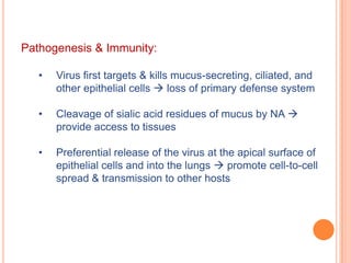 Cleaves the sialic acid on glycoproteins, including the cell receptor  prevents clumping & facilitates release of virus from infected cells