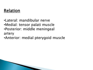 Relation
•Lateral: mandibular nerve
•Medial: tensor palati muscle
•Posterior: middle meningeal
artery
•Anterior: medial pterygoid muscle
 