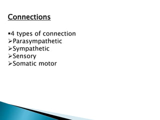 Connections
4 types of connection
Parasympathetic
Sympathetic
Sensory
Somatic motor
 