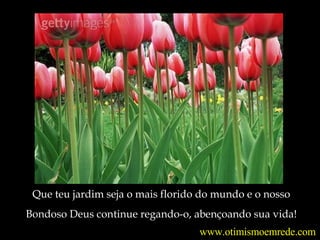 Que teu jardim seja o mais florido do mundo e o nosso Bondoso Deus continue regando-o, abençoando sua vida ! www.otimismoemrede.com 
