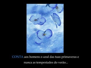 CONTA  aos homens o azul das tuas primaveras e  nunca as tempestades do verão ... 