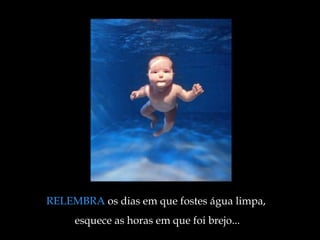 RELEMBRA  os dias em que fostes água limpa,  esquece as horas em que foi brejo ... 
