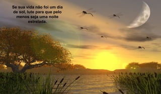 Se sua vida não foi um dia de sol, lute para que pelo menos seja uma noite estrelada. 