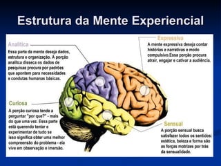 Estrutura da Mente Experiencial 