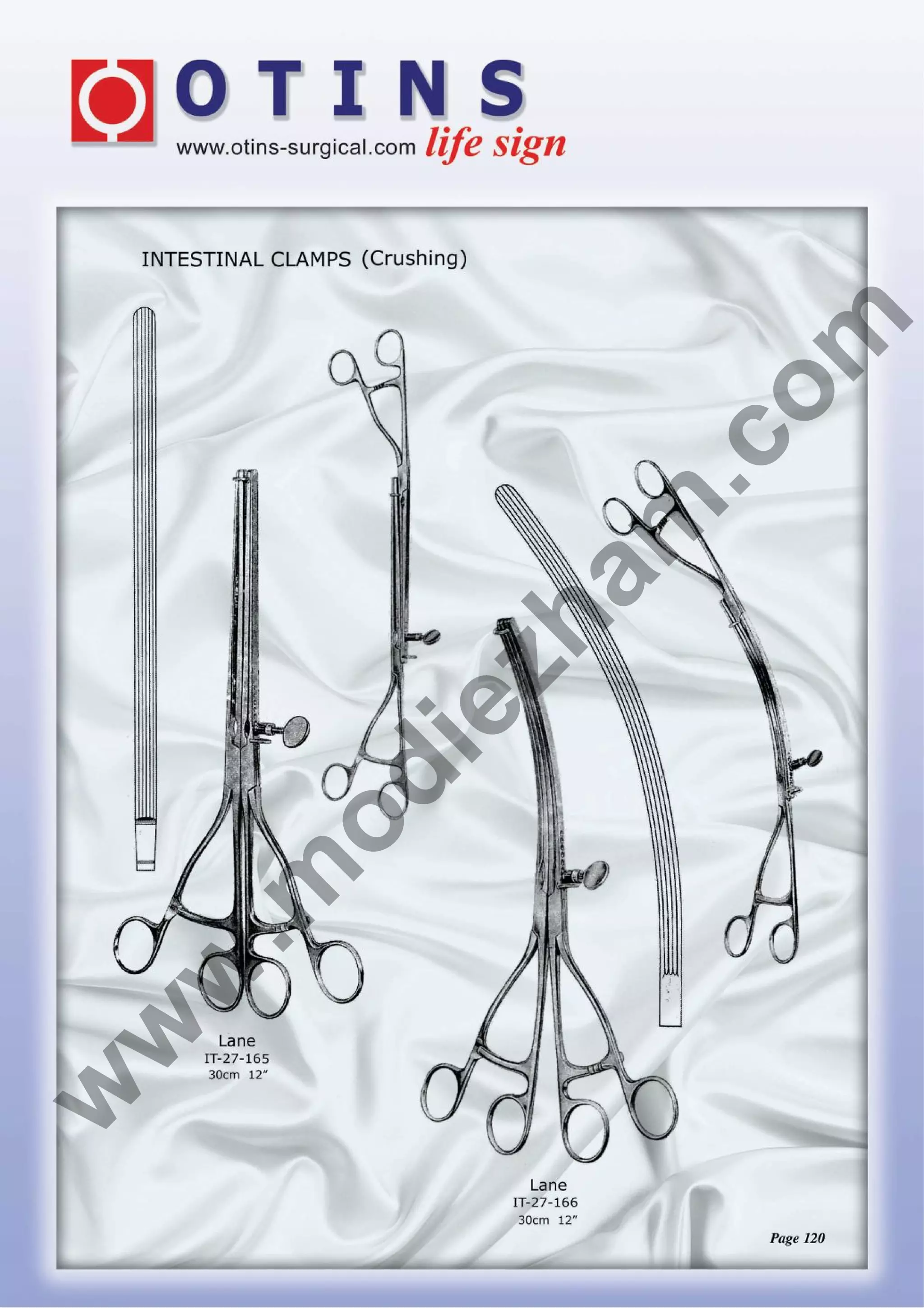 am

zh

ie

od

.m

w

w

w

.c
om

 