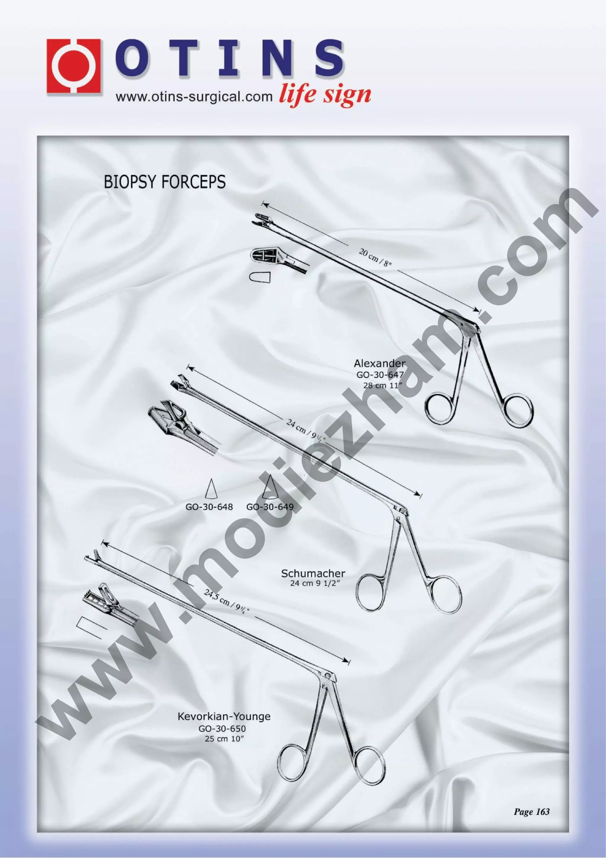 am

zh

ie

od

.m

w

w

w

.c
om

 