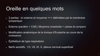 Oreille en quelques mots
3 parties : ici externe et moyenne +++ délimitées par la membrane
tympanique
Externe (pavillon + CAE); Moyenne (mastoïde + caisse du tympan)
Modification anatomique de la trompe d’Eustache au cours de la
croissance
Épithélium de type respiratoire
Nerfs sensitifs : V3, VII, IX, X, plexus cervical superficiel
 
