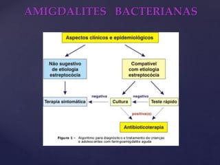 AMIGDALITES BACTERIANAS
 