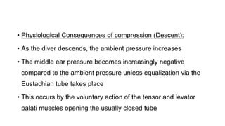 • Physiological Consequences of compression (Descent):
• As the diver descends, the ambient pressure increases
• The middle ear pressure becomes increasingly negative
compared to the ambient pressure unless equalization via the
Eustachian tube takes place
• This occurs by the voluntary action of the tensor and levator
palati muscles opening the usually closed tube
 