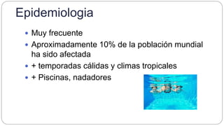 Epidemiologia
 Muy frecuente
 Aproximadamente 10% de la población mundial
ha sido afectada
 + temporadas cálidas y climas tropicales
 + Piscinas, nadadores
 