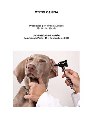 OTITIS CANINA
Presentado por: Ordierez Jehison
Montánchez Camilo
UNIVERSIDAD DE NARIÑO
San Juan de Pasto: 15 – Septiembre – 2018
 