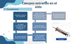 Cuerpos extraños en el
oído
 Procedimiento
•
Establecer relación
con el paciente
Se realiza
inmovilización del
paciente con el
ayudante
En cuerpo extraño
animal inmovilizarlo
En caso de grasos,
se recomienda
deshidratar para
disminuir su tamaño
Gotas de líquido
graso en el conducto
Varios minutos
después se procede
al lavado del oído
con jeringa de Guyón
En ciertos casos es
necesario el uso de
anestesia general
 